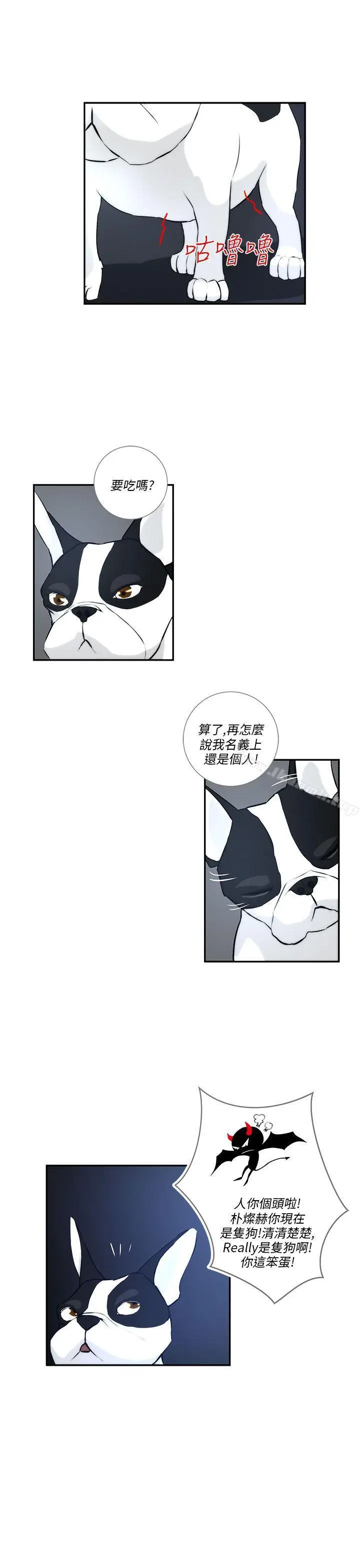 漫画《变成狗的男人》第3话第11张图