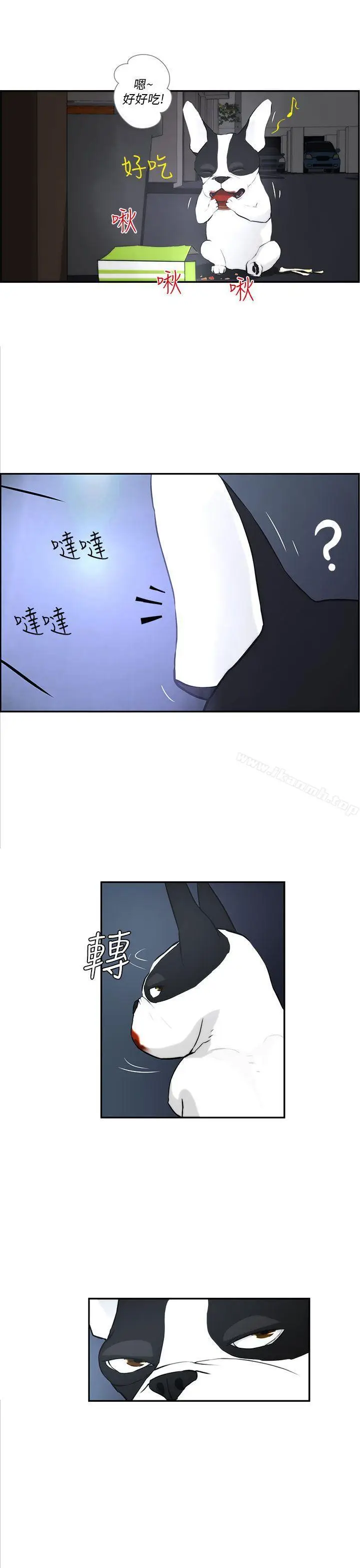 漫画《变成狗的男人》第3话第13张图
