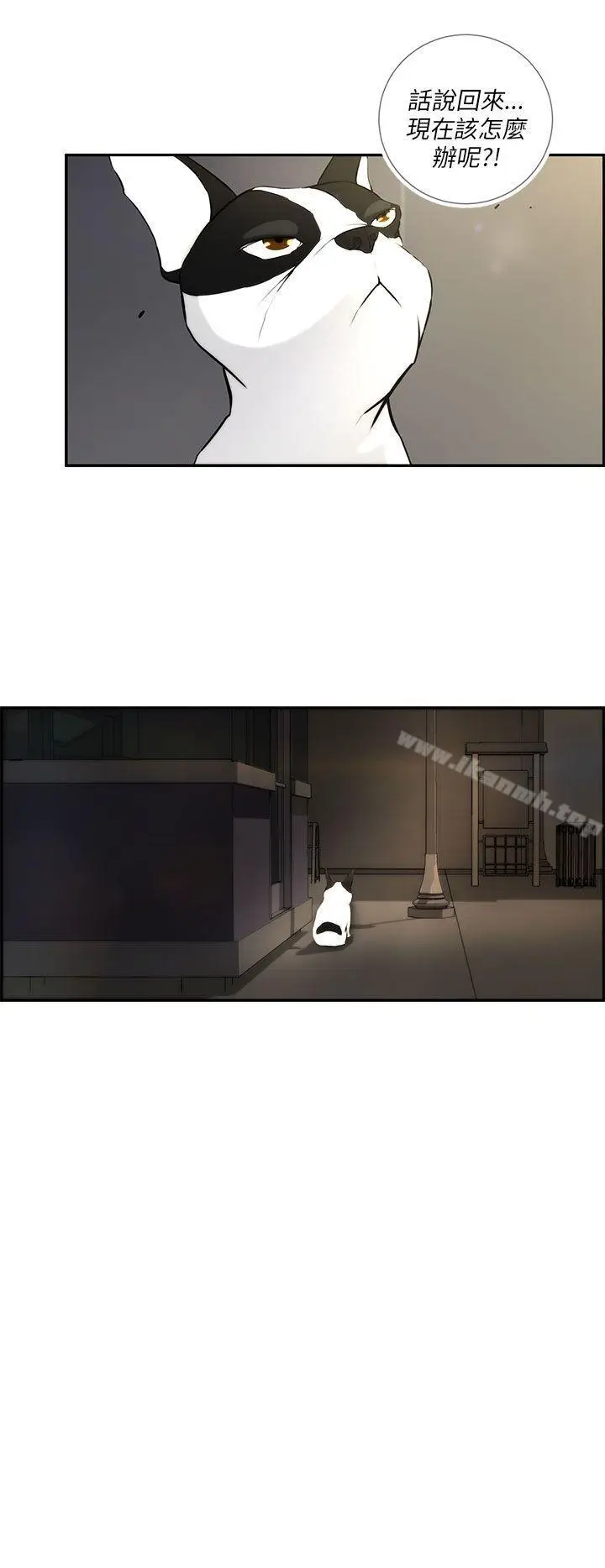 漫画《变成狗的男人》第3话第4张图