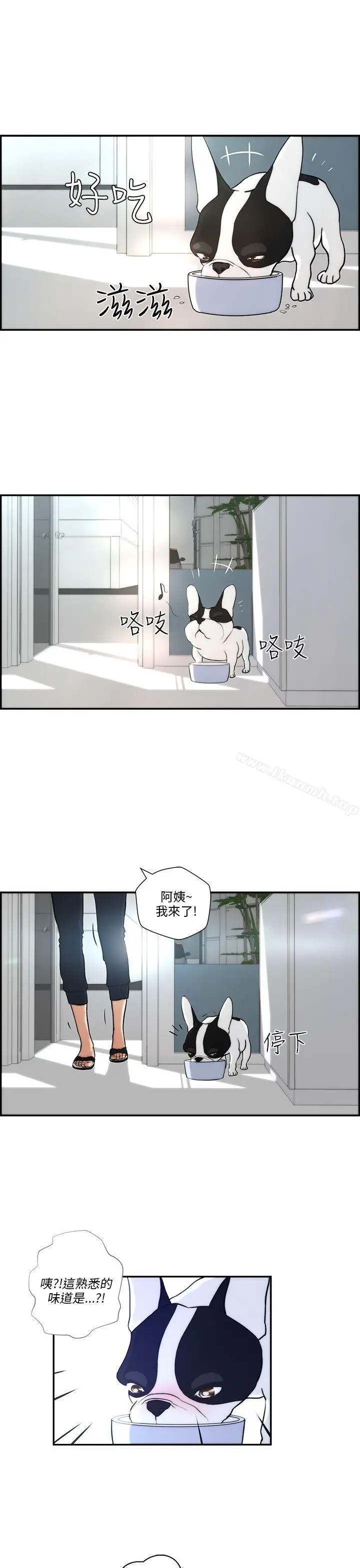 漫画《变成狗的男人》第4话第21张图