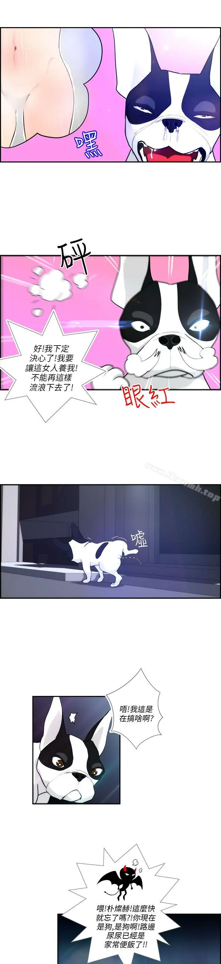 漫画《变成狗的男人》第4话第5张图
