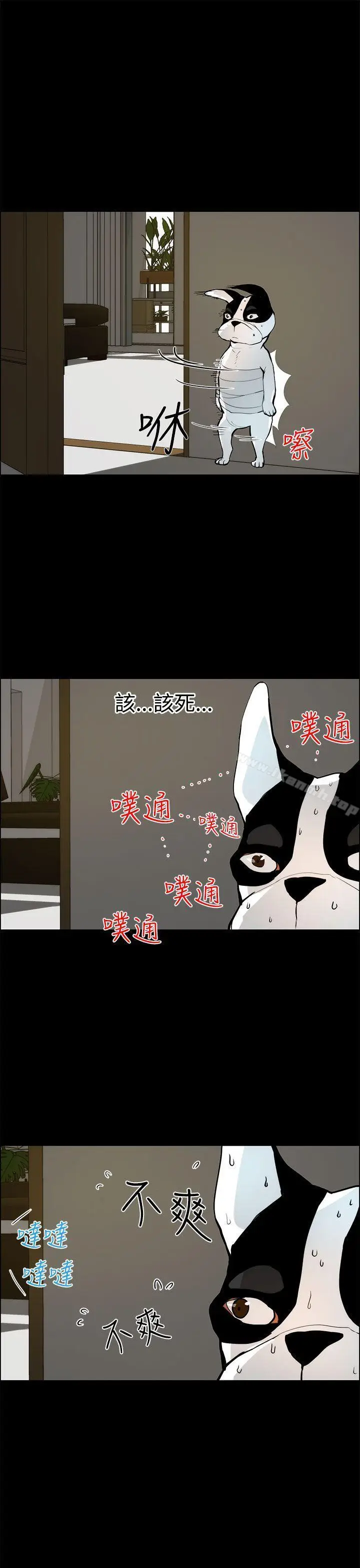 漫画《变成狗的男人》第19话第11张图