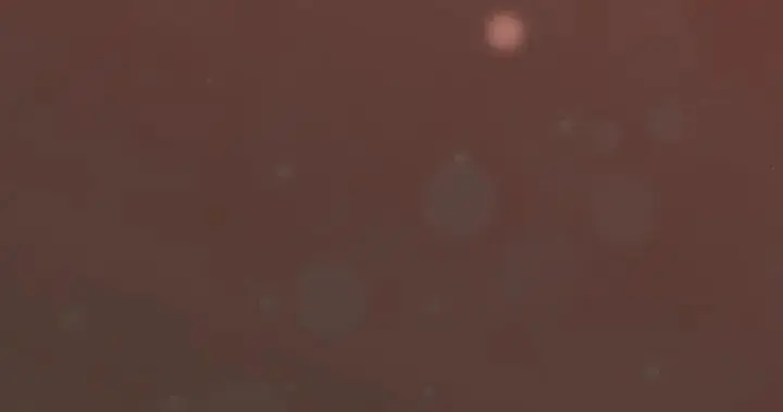 漫画《下班后的例行恋爱》第114话第128张图