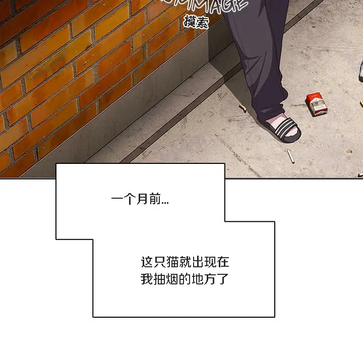 漫画《猫猫牵红线》第1话第80张图