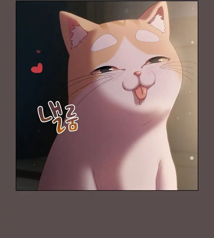 漫画《猫猫牵红线》第9话第176张图