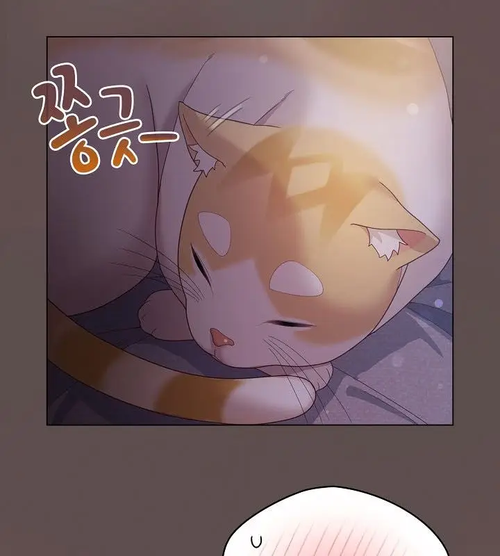 漫画《猫猫牵红线》第10话第116张图