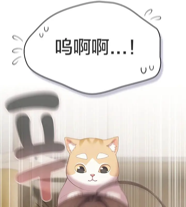 漫画《猫猫牵红线》第11话第20张图