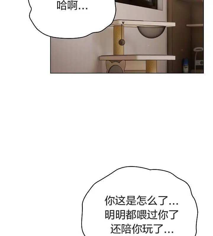 漫画《猫猫牵红线》第11话第24张图