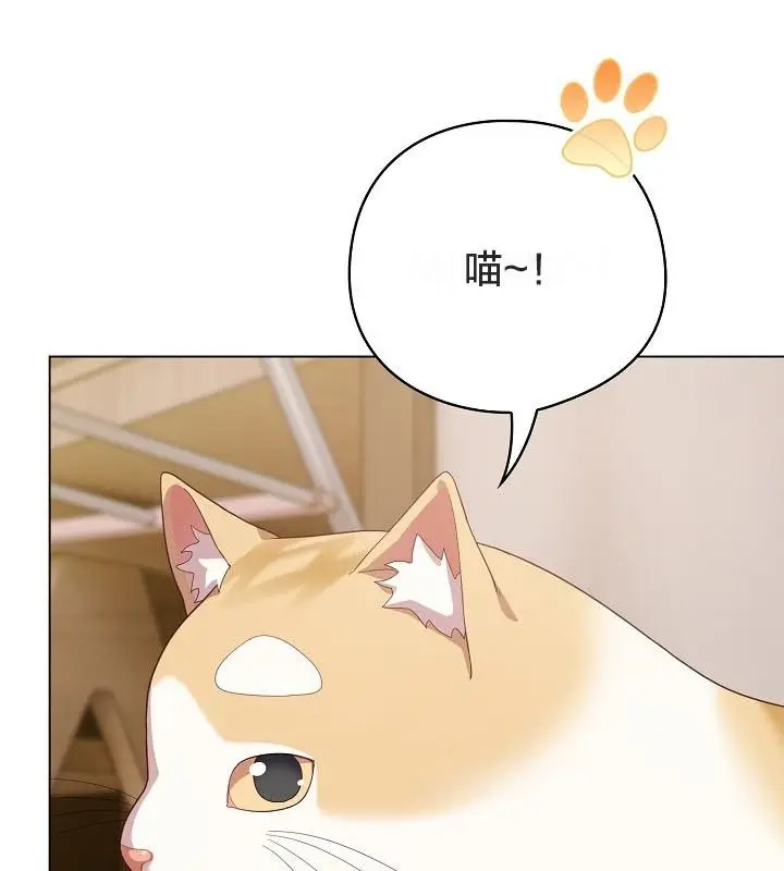 漫画《猫猫牵红线》第12话第152张图
