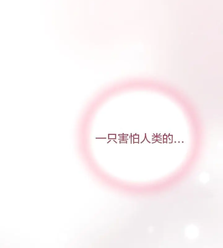漫画《猫猫牵红线》第13话第13张图