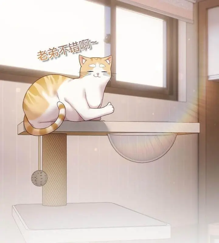 漫画《猫猫牵红线》第18话第89张图