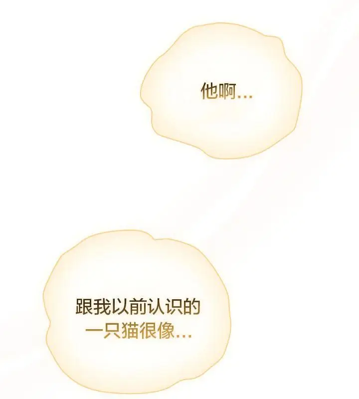 漫画《猫猫牵红线》第19话第72张图