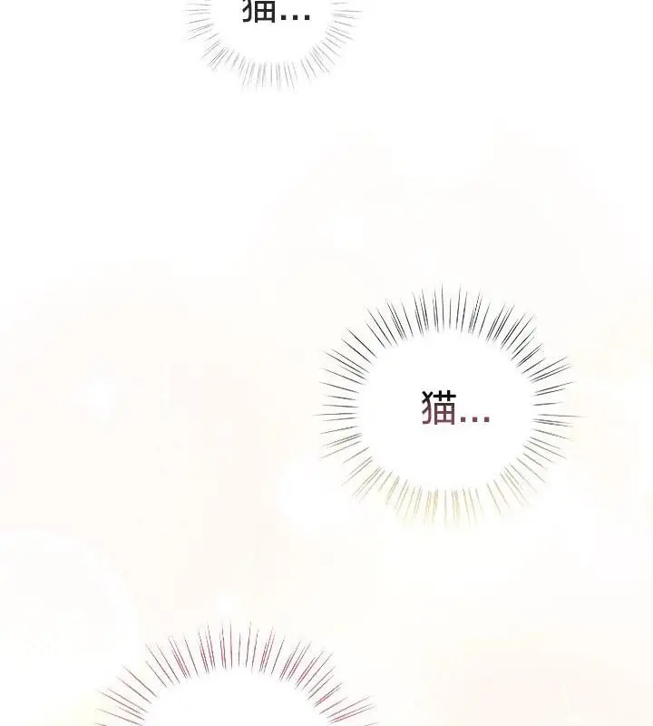 漫画《猫猫牵红线》第24话第48张图