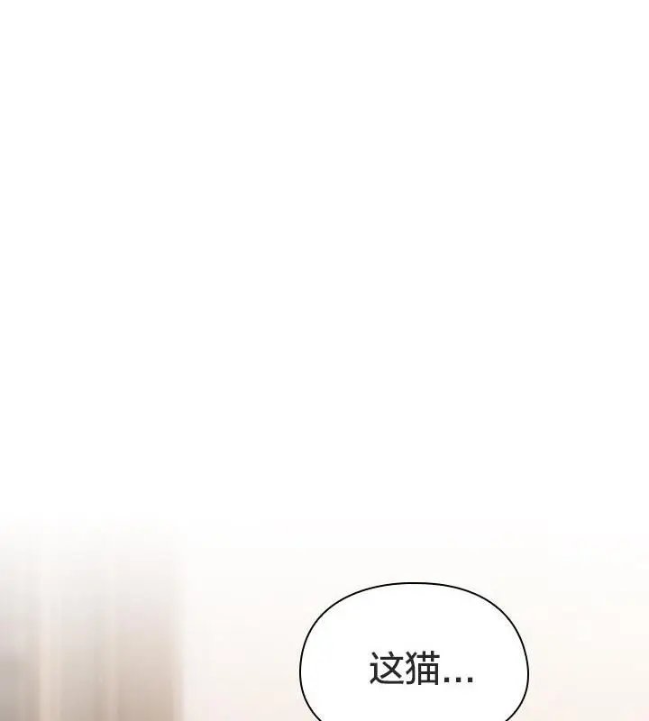 漫画《猫猫牵红线》第24话第6张图