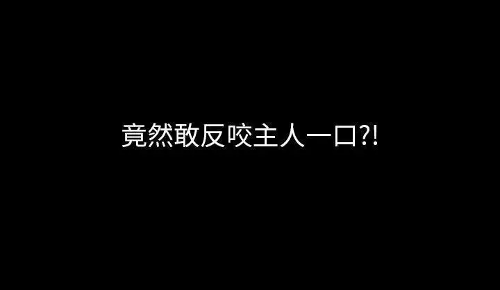 漫画《肉体》第19话第183张图
