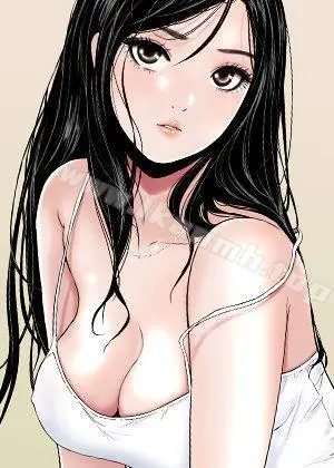 《楼凤》封面