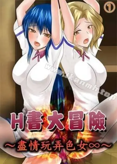 《H书大冒险》封面