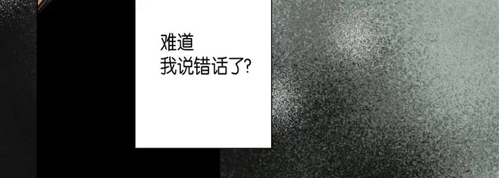 漫画《完美无缺的虏获》第25话第52张图