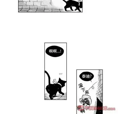 漫画《小僵尸与他的魔女妈妈》第23章第23张图