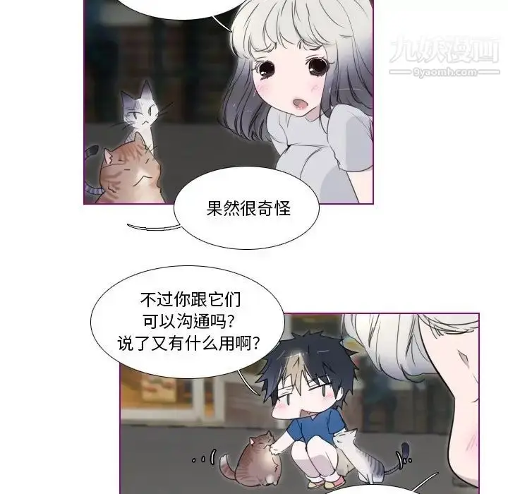 漫画《我的猫狗女友》第11话第32张图