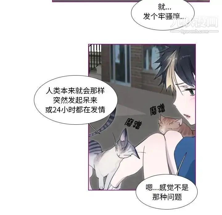 漫画《我的猫狗女友》第11话第33张图
