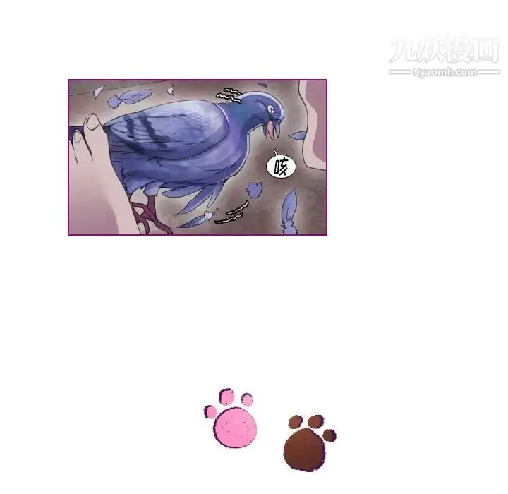 漫画《我的猫狗女友》第9话第35张图
