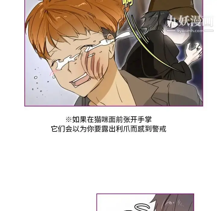 漫画《我的猫狗女友》第3话第37张图