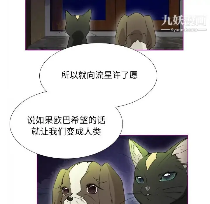 漫画《我的猫狗女友》第2话第43张图