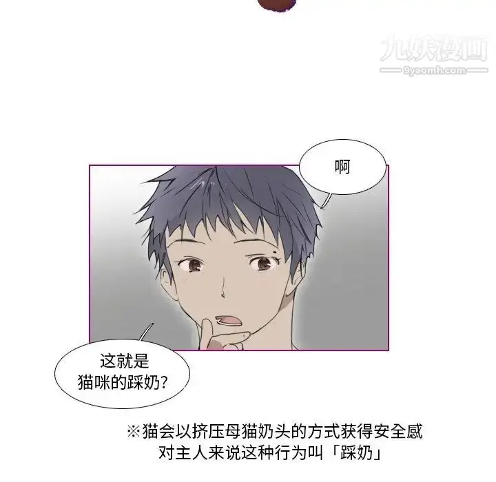漫画《我的猫狗女友》第8话第11张图