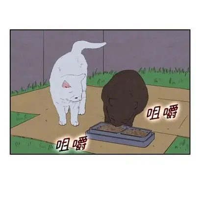 漫画《泰珠小姐的完美婚姻生活》第43话第96张图