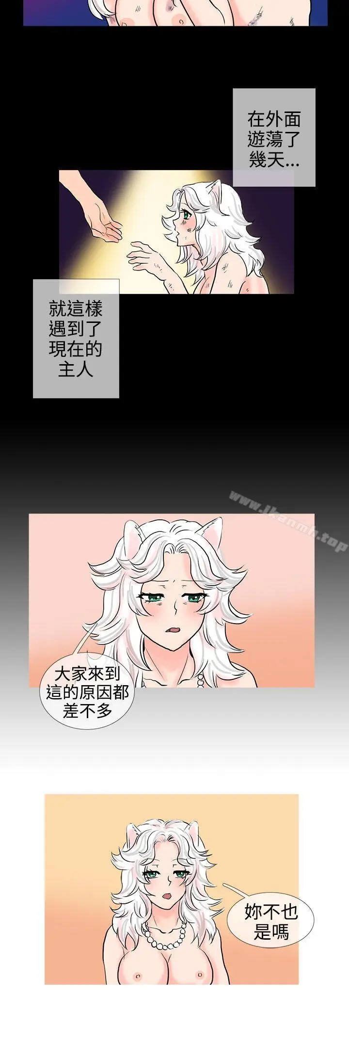 漫画《小野猫驯服手册》第11话第9张图