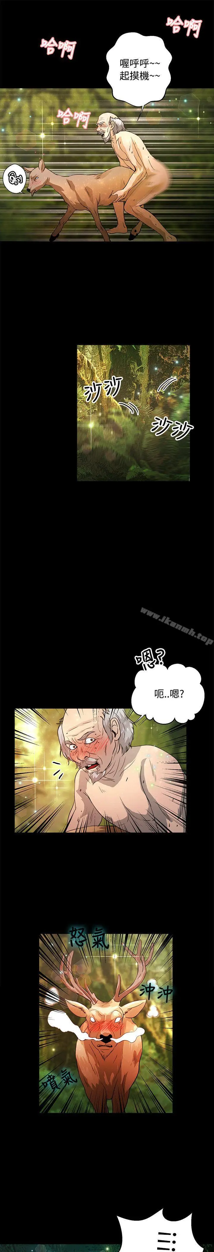 漫画《丛林爱爱法则》最终话第22张图