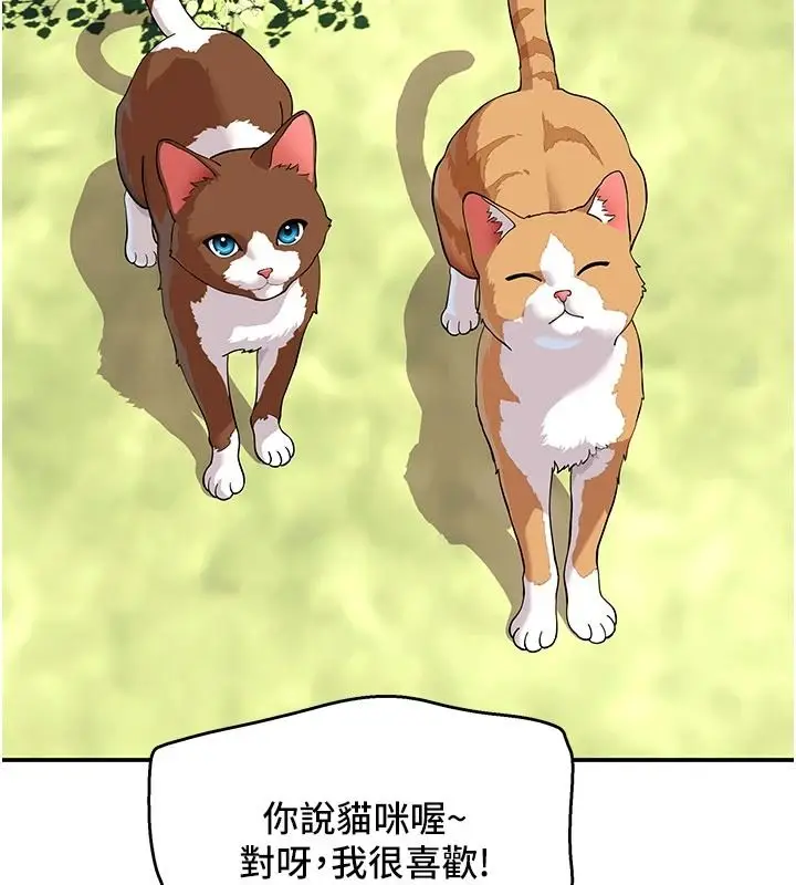 漫画《斯文坏猫猫》第15话第23张图