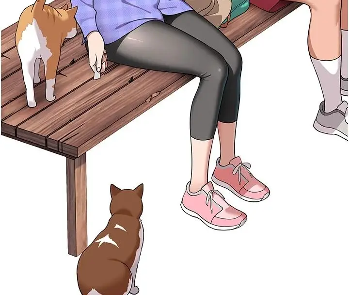 漫画《斯文坏猫猫》第15话第26张图