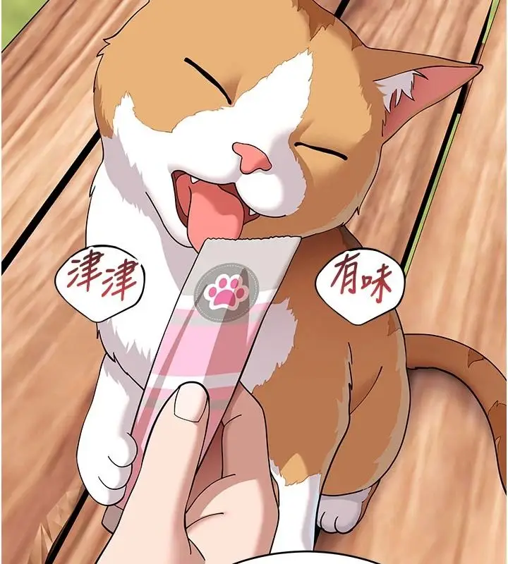 漫画《斯文坏猫猫》第15话第29张图