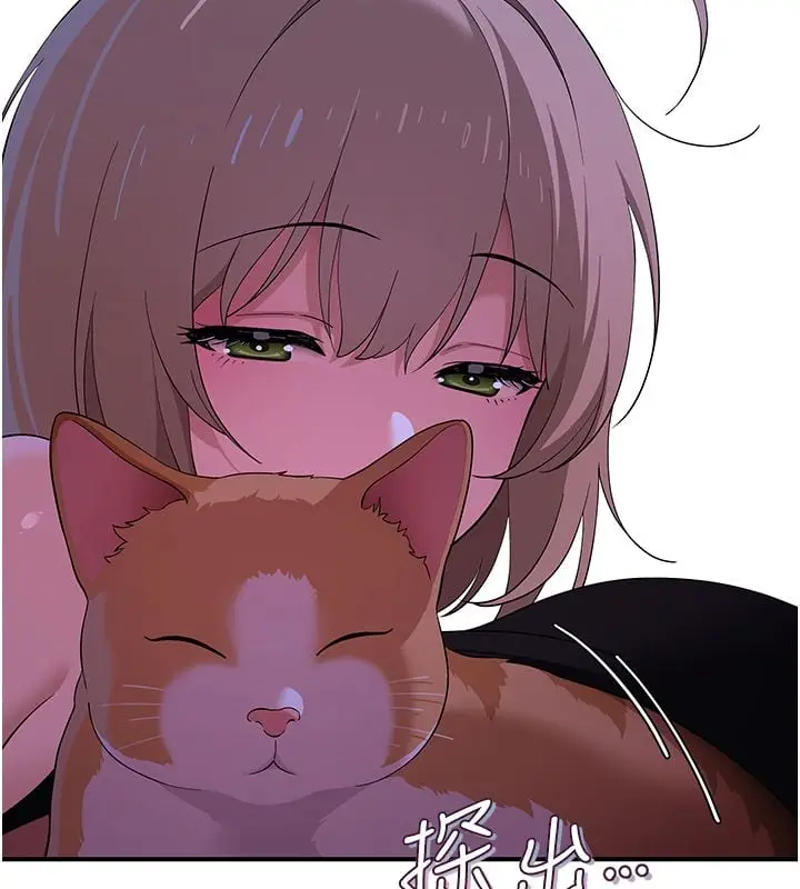 漫画《斯文坏猫猫》第7话第42张图