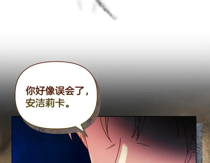 漫画《安洁莉卡：不一样的夫人》第17话 家族会议第164张图