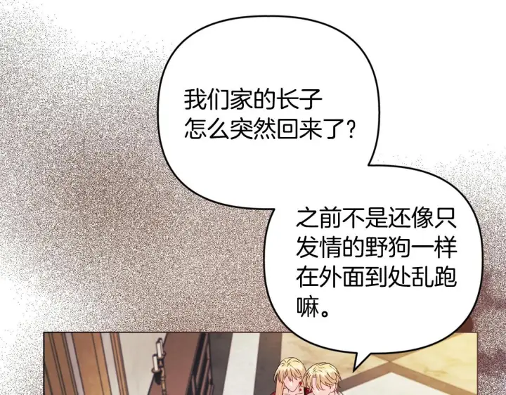 漫画《安洁莉卡：不一样的夫人》第18话 私生子德里第27张图
