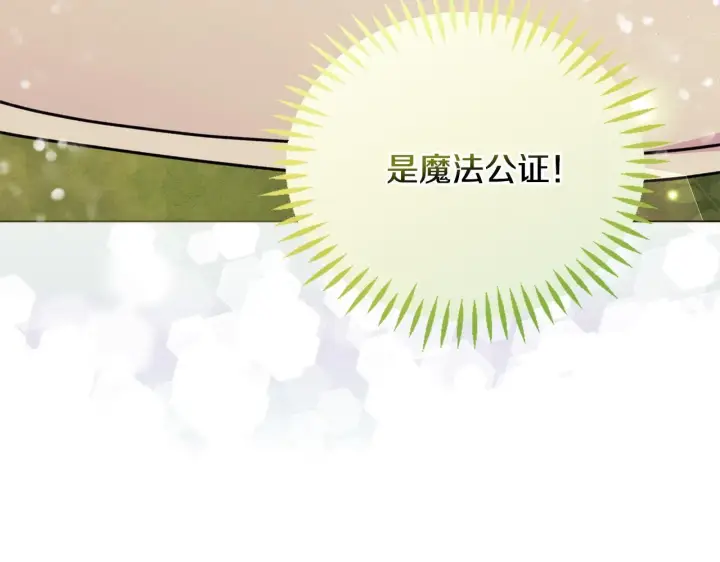 漫画《安洁莉卡：不一样的夫人》第26话 魔法公证第151张图