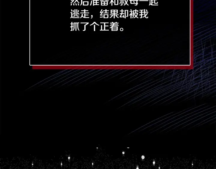 漫画《安洁莉卡：不一样的夫人》第26话 魔法公证第24张图