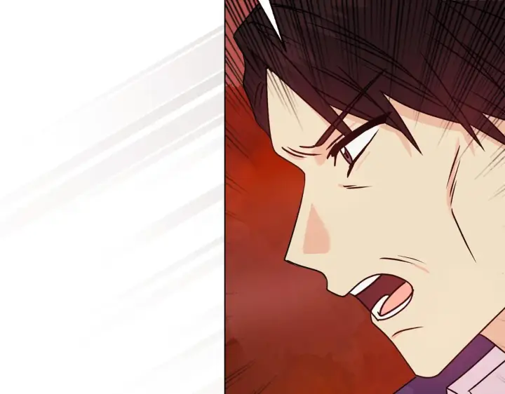 漫画《安洁莉卡：不一样的夫人》第26话 魔法公证第91张图