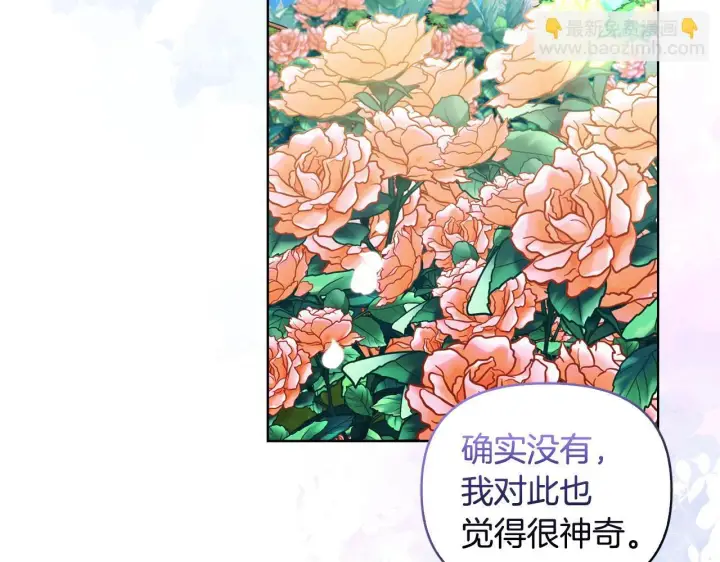 漫画《安洁莉卡：不一样的夫人》第44话 你敢和我打赌吗？第143张图