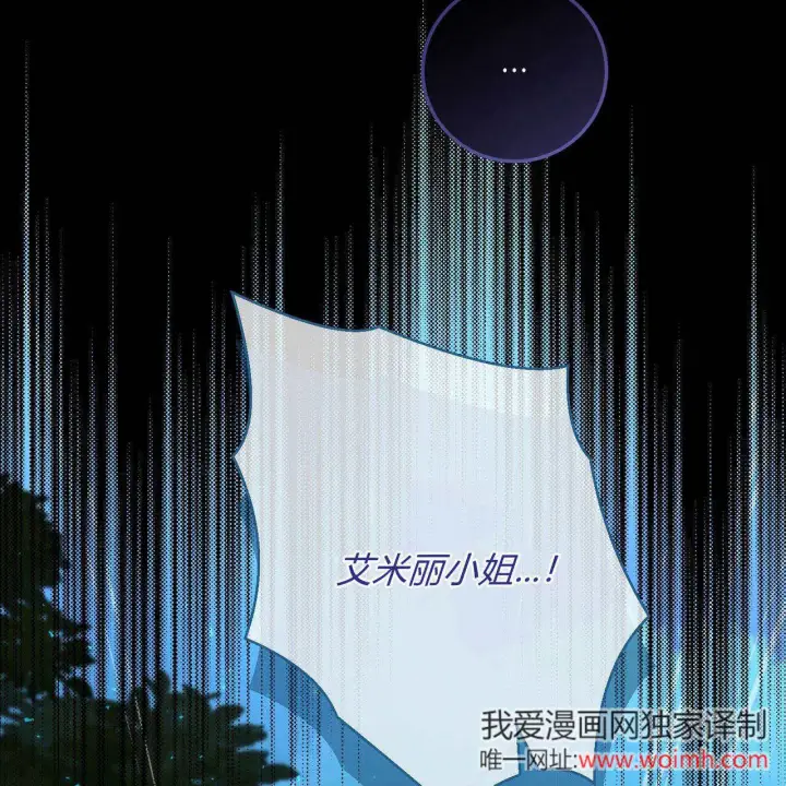 漫画《拜托放过艾米丽小姐吧》第28话第11张图