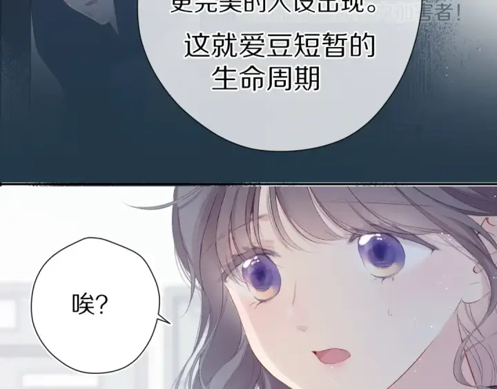 漫画《保护我方大大》第89话 可以靠脸偏偏靠才华第13张图
