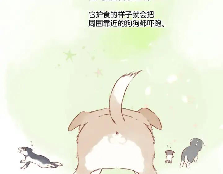 漫画《保护我方大大》第124话 我的小狗第11张图