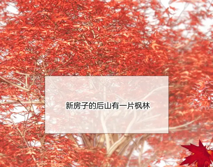 漫画《保护我方大大》枫与樱（番外篇）第81张图