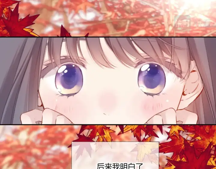 漫画《保护我方大大》枫与樱（番外篇）第91张图