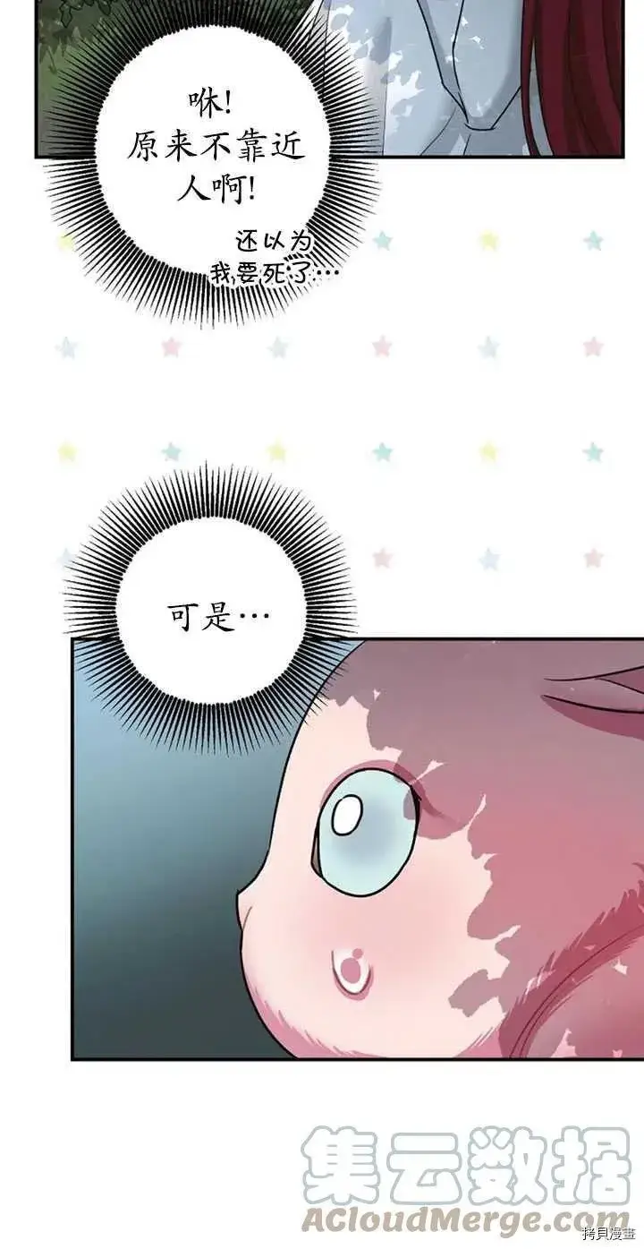 漫画《暴君的精神安定剂》第36话第46张图