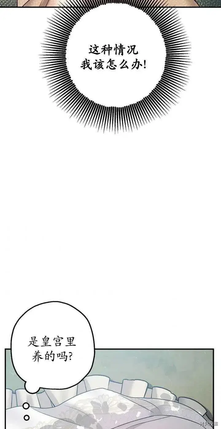 漫画《暴君的精神安定剂》第36话第48张图