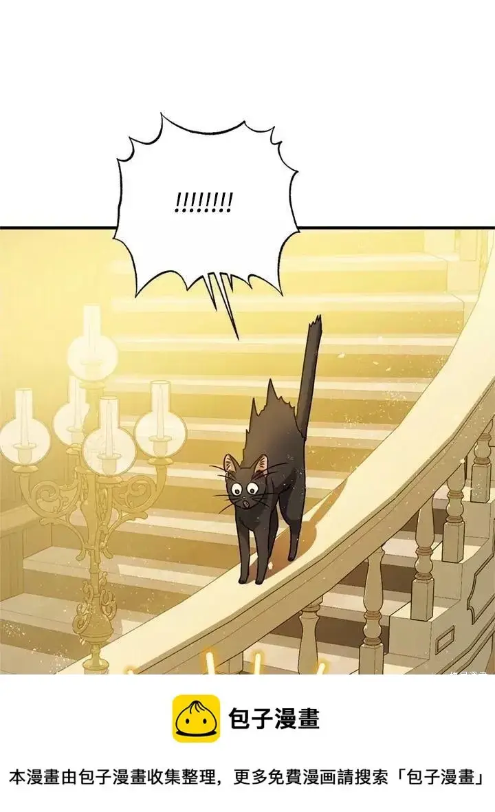 漫画《暴君的精神安定剂》第67话第100张图